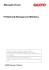 PJ Network Manager per Windows