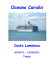 Oceano Caraibi - Sito