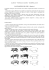 L`ALLEVAMENTO DEI SUINI - Scheda n. 1 Un animale che all