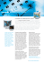 Brochure in