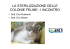 LA STERILIZZAZIONE DELLE COLONIE FELINE per comune