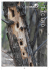 Tracce - Pro Natura Ticino