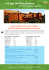 scarica il programma in pdf