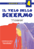 Il velo sullo schermo - Cineforum del Circolo