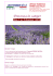 Per visualizzare il programma clicca qui