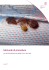 cieh_bedbug_italian
