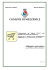 allegato normativo - Comune di MEZZENILE