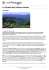La Strada dei Vinhos Verdes