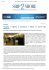 Scarica il pdf - shipping meets industry