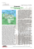 Programma in PDF