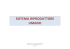 (Microsoft PowerPoint - Copia \(2\) di RIPRODUZIONE E SVILUPPO