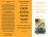 brochure evento - Istituto Italiano di Psicoanalisi di Gruppo