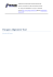 Paragon Alignment Tool -