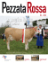 Pezzata Rossa 2 - 2010