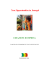 New Opportunities in Senegal