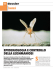 epidemiologia e controllo della leishmaniosi