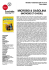 scarica la scheda del film in pdf