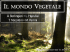 Regno vegetale