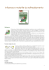 Influenza - Informazioni sui farmaci