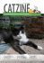 La gatta - I gatti della Piramide
