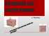 Domande sul corpo umano
