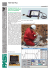 Scarica brochure - Lavori Pubblici