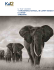 IL TUO VIAGGIO "ATMOSFERE D`AFRICA, IN CAMPI TENDATI E
