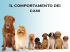 Il comportamento dei cani