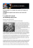 Articolo di Repubblica ()
