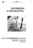 SICUREZZA in BICICLETTA