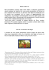News Letter n.5 Nel precedente numero della news letter vi
