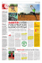 DARFUR UNITED PURE I PROFUGHI HANNO UN TEAM