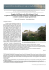 Progetto AcCADemia nella Villa Adriana di Tivoli. Le