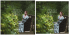 impaginato_MM_Layout 1