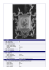 Scheda completa - Catalogo Generale dei Beni Culturali