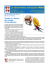 TN_IMPAG. 16_Campi_di_Riva_ITA.pmd