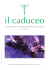 scarica pdf