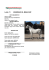 Schede descrittive equidi dal lotto n. 11 al lotto n. 19