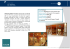 (Microsoft PowerPoint - THUN 031109 presentazione breve [modalit