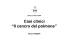 Diapositive in formato pdf