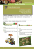 Scarica il pdf - Provincia di Livorno