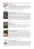 Bibliografia ragazzi sulla Grande Guerra