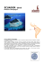 Speciale Minitour Galapagos di 6 giorni