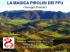 la magica pirolisi dei pfu