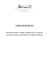 guida software RLI