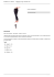 Dinamico da Donna : Leggings Yoga Cotone Bio