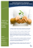 Articolo completo “Talent Management Integrato: rendere strategica