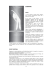 approfondimento icewave - Erboristeria Arcobaleno