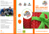 15-03-01 brochure - aservice studio srl