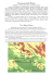 Brochure Italiano - Inglese